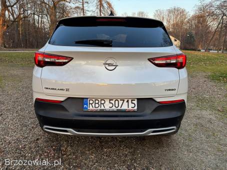 Opel Grandland X 2018