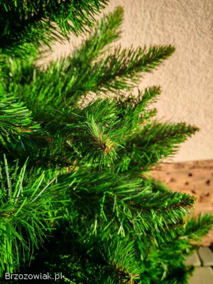 Nowa,  choinka