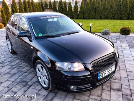 Audi A3 Z Niemiec  2007