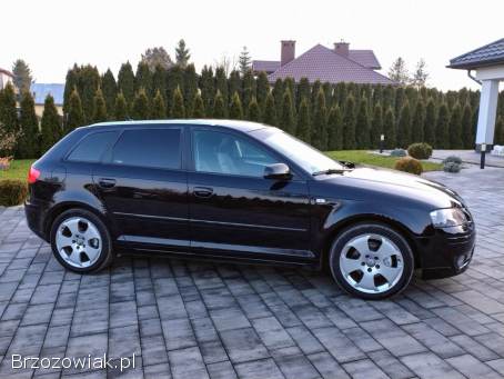 Audi A3 Z Niemiec  2007