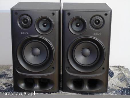 Kolumny Sony SS-H4800 mocne 2x 140 wat sprawne.  DOSTAWA.