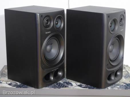 Kolumny Sony SS-H4800 mocne 2x 140 wat sprawne.  DOSTAWA.