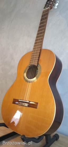 Gitara klasyczna Alhambra 2C