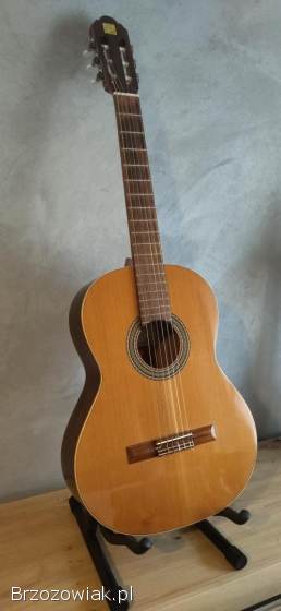 Gitara klasyczna Alhambra 2C