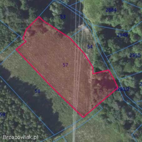 Na sprzedaż 3 działki – Jasienica Rosielna,  nr 57,  60,  64.  700 zł/ar