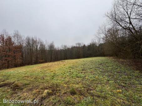 Na sprzedaż 3 działki – Jasienica Rosielna,  nr 57,  60,  64.  700 zł/ar