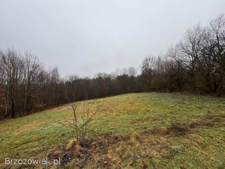 Na sprzedaż 3 działki – Jasienica Rosielna,  nr 57,  60,  64.  700 zł/ar