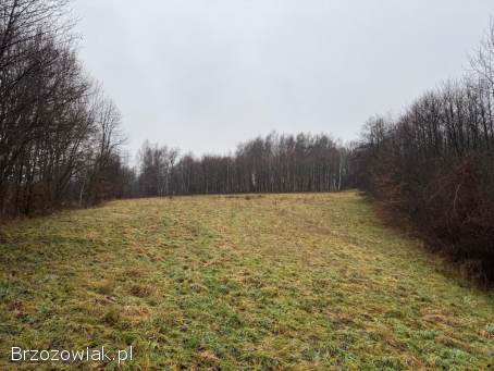 Na sprzedaż działka w miejscowości Jasienica Rosielna – ok.  59 ar
