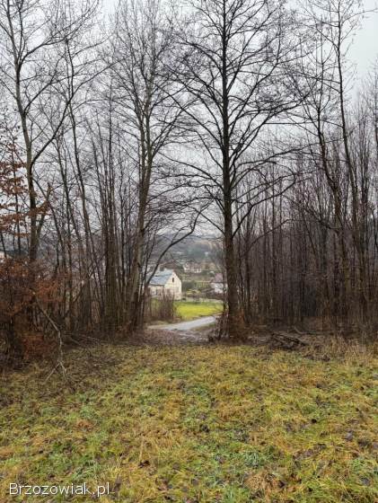 Na sprzedaż działka w miejscowości Jasienica Rosielna – ok.  59 ar