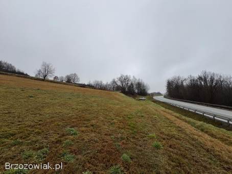 Na sprzedaż duża działka inwestycyjna – 94 ar – przy drodze krajowej DK19