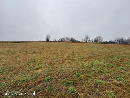 Na sprzedaż duża działka inwestycyjna – 94 ar – przy drodze krajowej DK19