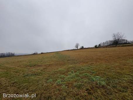 Na sprzedaż duża działka inwestycyjna – 94 ar – przy drodze krajowej DK19