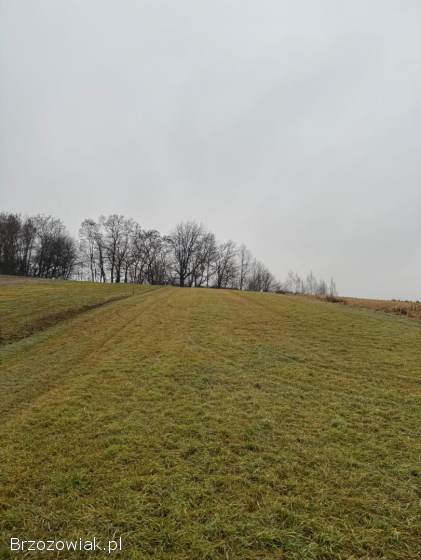 Na sprzedaż działki – 21 ar – przy drodze krajowej DK19 – Jasienica Rosielna