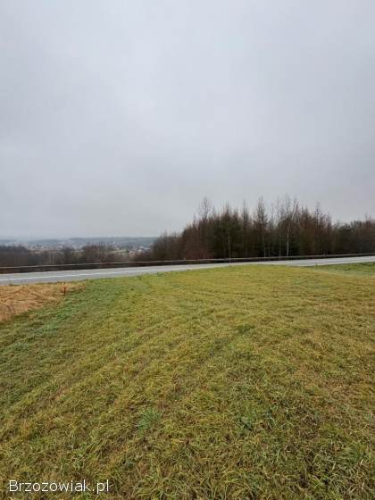 Na sprzedaż działki – 21 ar – przy drodze krajowej DK19 – Jasienica Rosielna