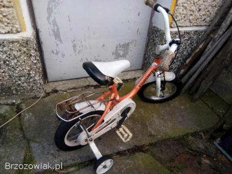 Rowerek dziecięcy