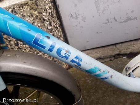 Rowerek dziecięcy Liga