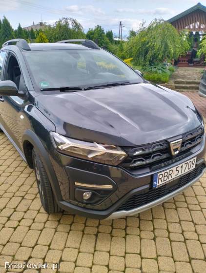 Dacia Sandero Stepway Minivan 2021