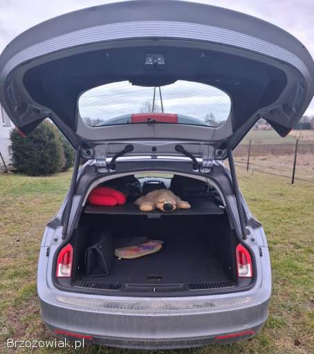 Opel Insignia Sports Tourer 2009