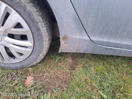 Opel Insignia Sports Tourer 2009