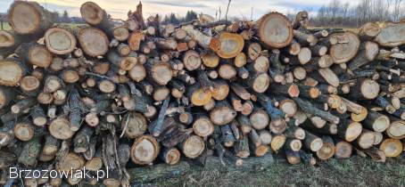 Drewno opałowe