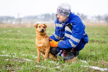 Rożek -  prawdziwy diament do pokochania!