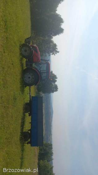 Przyczepa kaczka d35