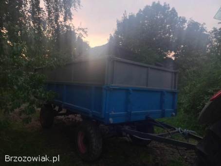 Przyczepa kaczka d35