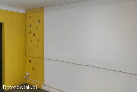 Lokal Targowica krosno bazar