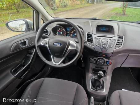 Ford Fiesta VII 1.  25 benzyna 2015