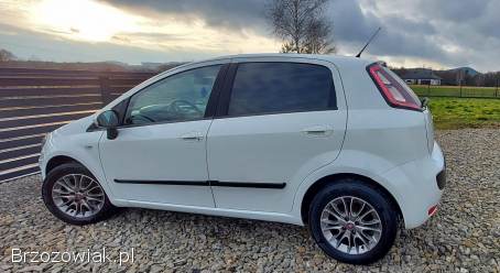 Fiat Punto Evo 1.  4 Benzyna 77KM 2011