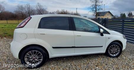 Fiat Punto Evo 1.  4 Benzyna 77KM 2011