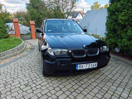 BMW X3 E83 2006