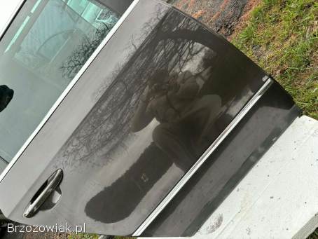 Sprzedam Drzwi Passata b 6