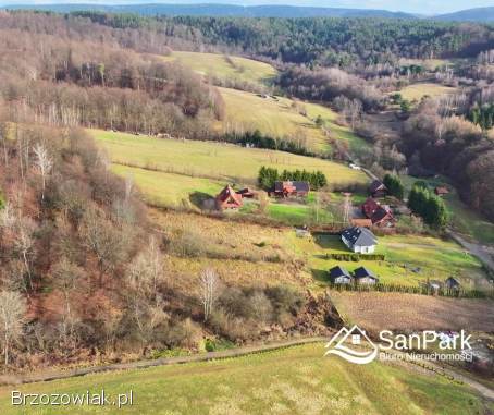 Działka na sprzedaż -  Orelec