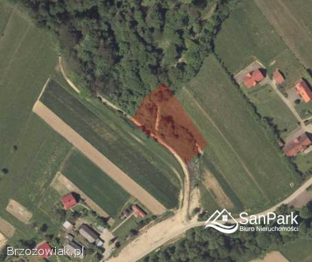 Działka na sprzedaż -  Orelec