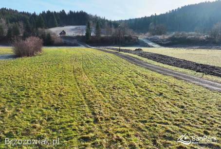 Działka z WZ -  Zahoczewie