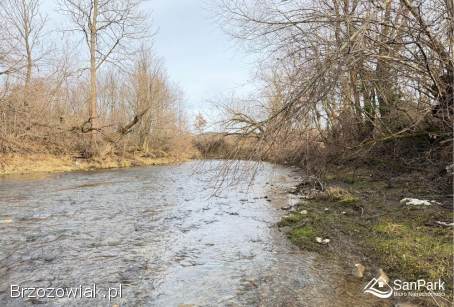 Działka z WZ -  Zahoczewie