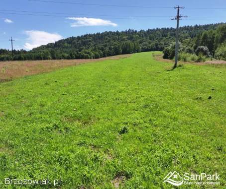 Działka na sprzedaż -  Wańkowa