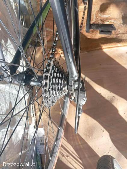 Merida Race 80!  Pilnie