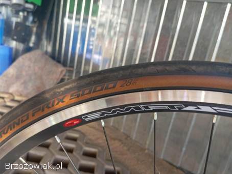 Merida Race 80!  Pilnie