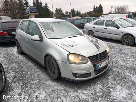Volkswagen Golf 1.  9TDI 90km 05r 2005