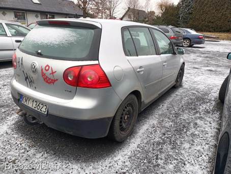 Volkswagen Golf 1.  9TDI 90km 05r 2005