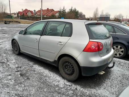 Volkswagen Golf 1.  9TDI 90km 05r 2005