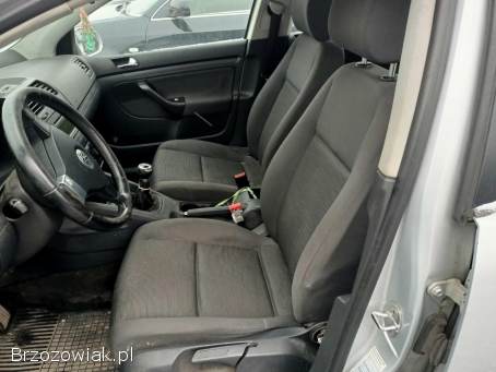 Volkswagen Golf 1.  9TDI 90km 05r 2005