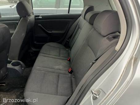 Volkswagen Golf 1.  9TDI 90km 05r 2005