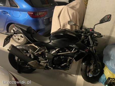 Kawasaki Z 250 SL 2015