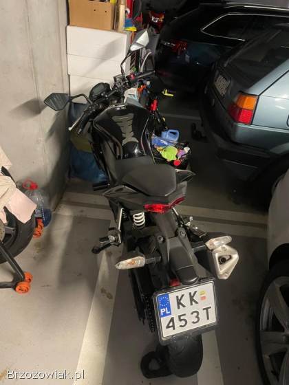 Kawasaki Z 250 SL 2015