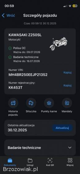 Kawasaki Z 250 SL 2015