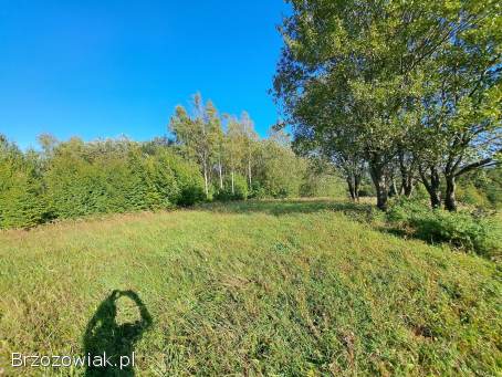 Sprzedam Działkę