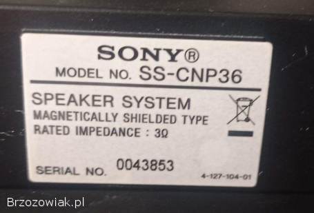 Kolumny Sony SS-WP36 SS-CNP36 SS-MSP36S SS-SRP36S kino domowe 1000W